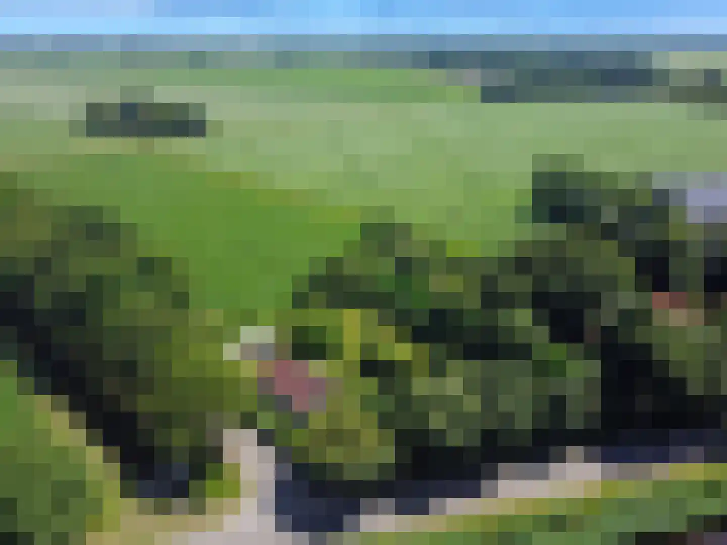 Veelerveensterweg 5 Vlagtwedde thumbnail 7