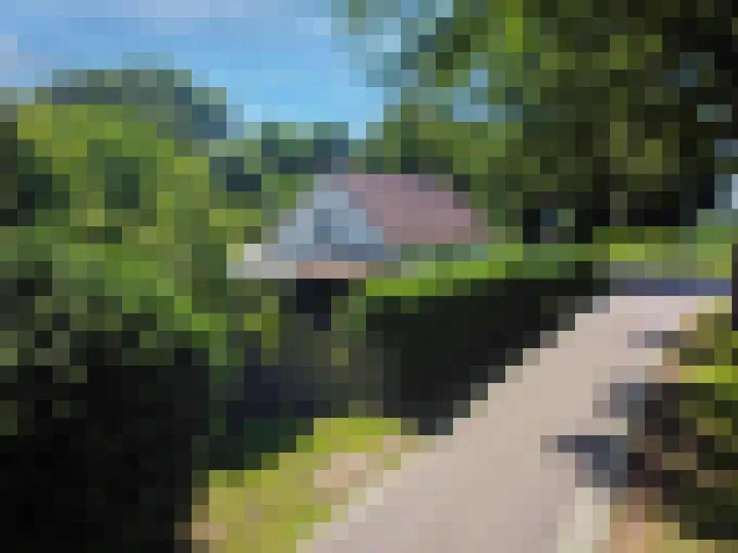 Veelerveensterweg 5 Vlagtwedde thumbnail 8