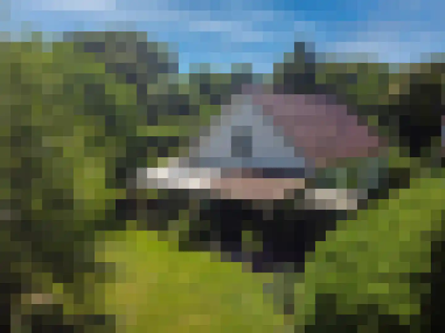 Veelerveensterweg 5 Vlagtwedde thumbnail 9