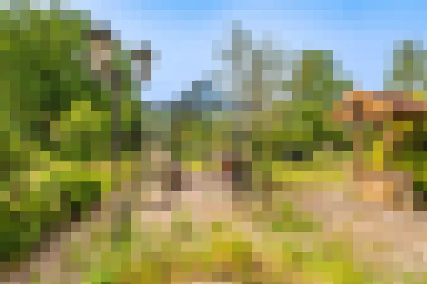 Veelerweg 26 Vlagtwedde thumbnail 10