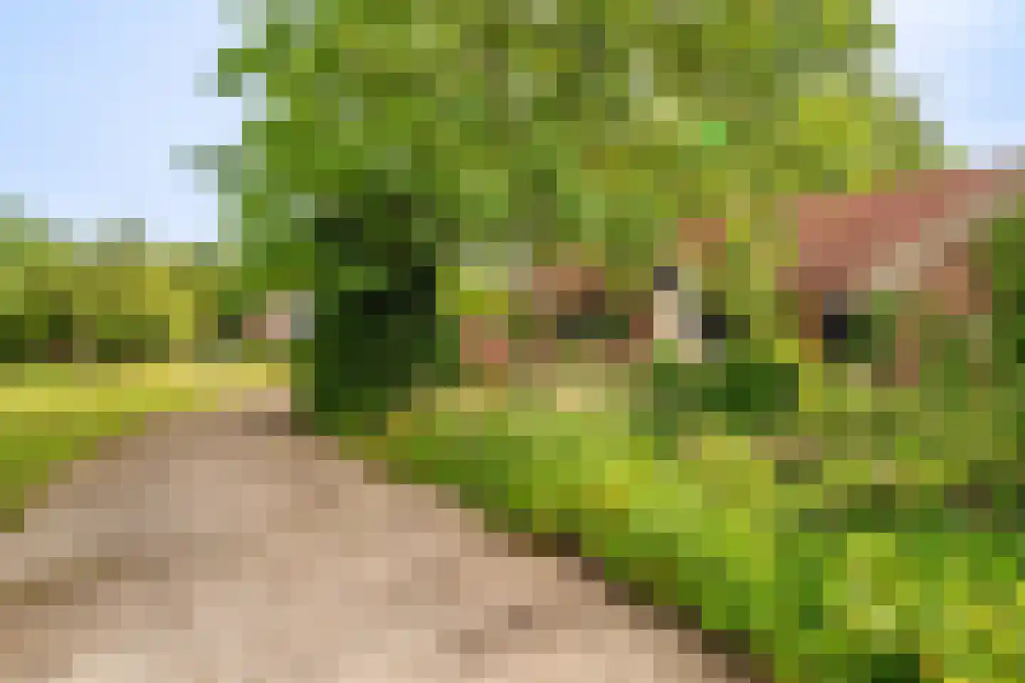 Veelerweg 26 Vlagtwedde thumbnail 11