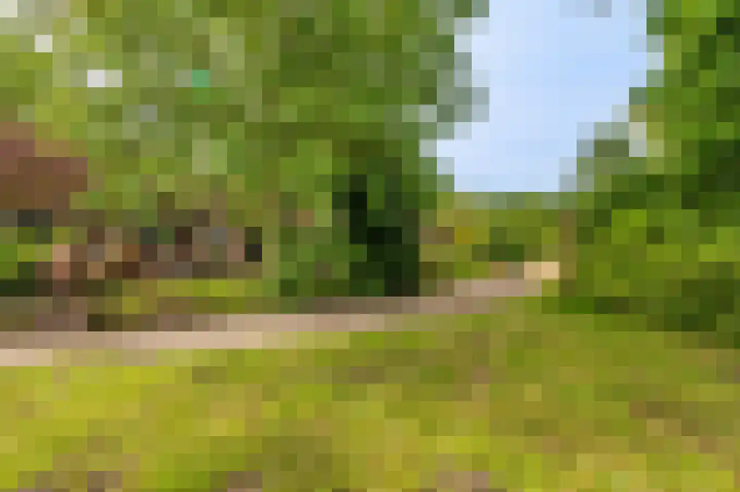 Veelerweg 26 Vlagtwedde thumbnail 12