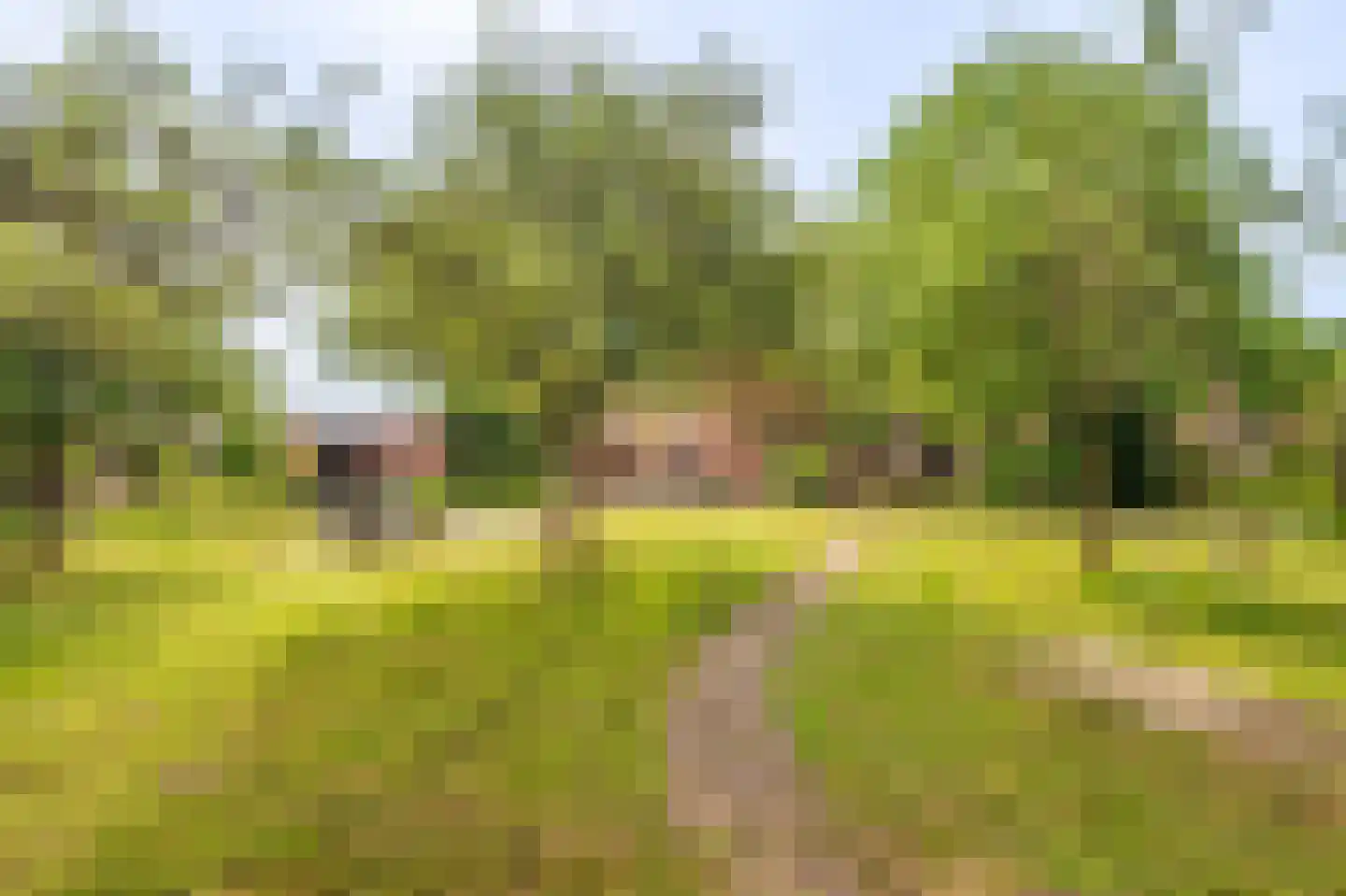 Veelerweg 26 Vlagtwedde thumbnail 13