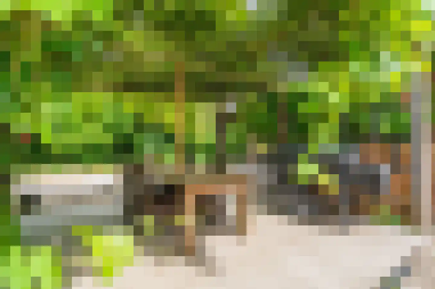 Veelerweg 26 Vlagtwedde thumbnail 15