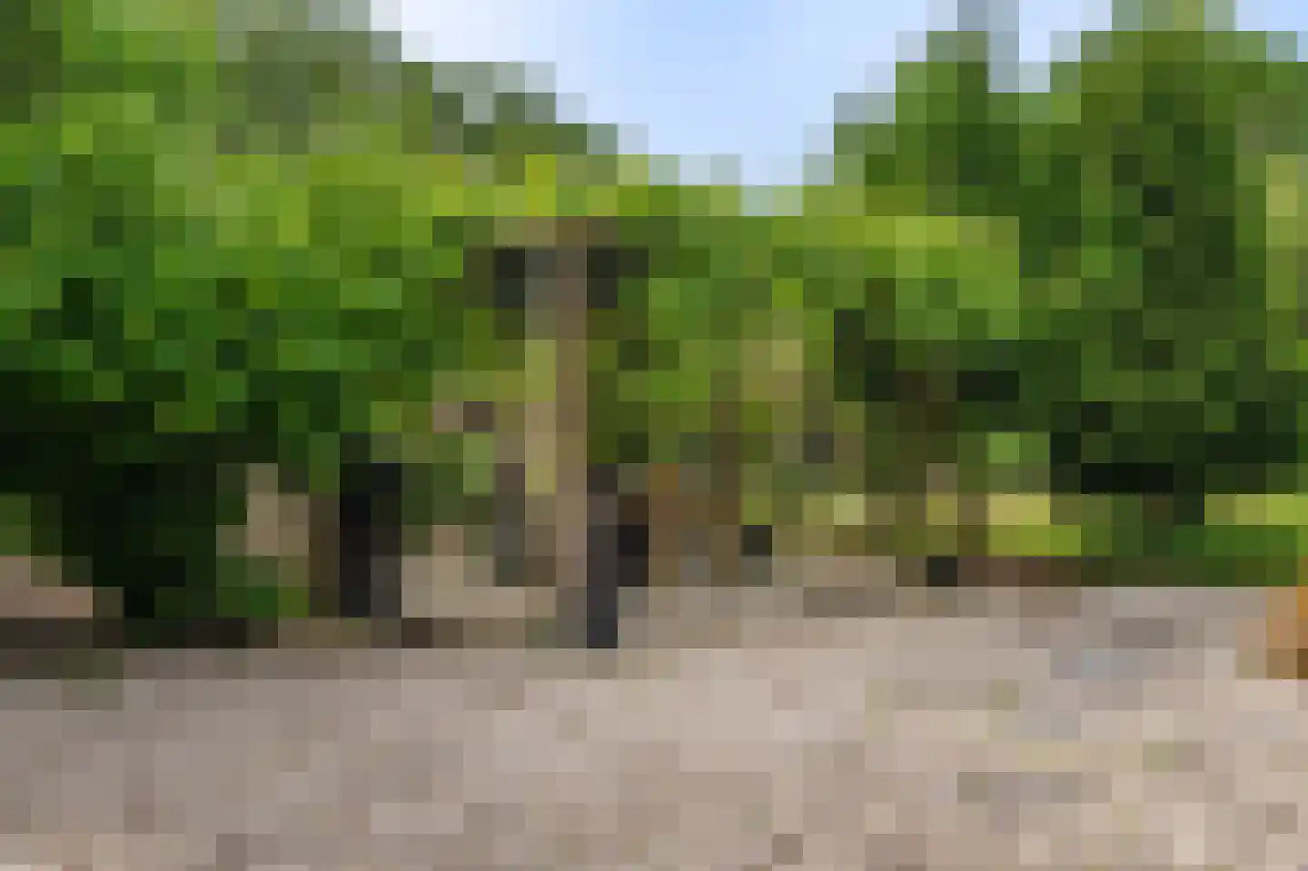 Veelerweg 26 Vlagtwedde thumbnail 19