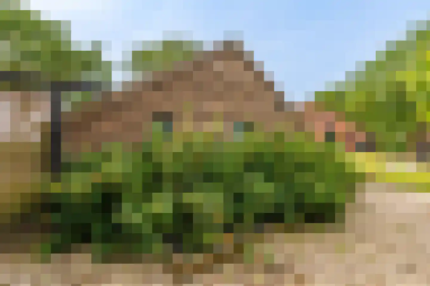 Veelerweg 26 Vlagtwedde thumbnail 20