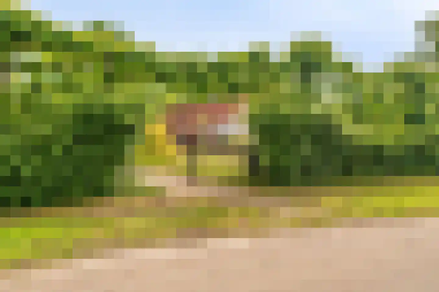 Veelerweg 26 Vlagtwedde thumbnail 22