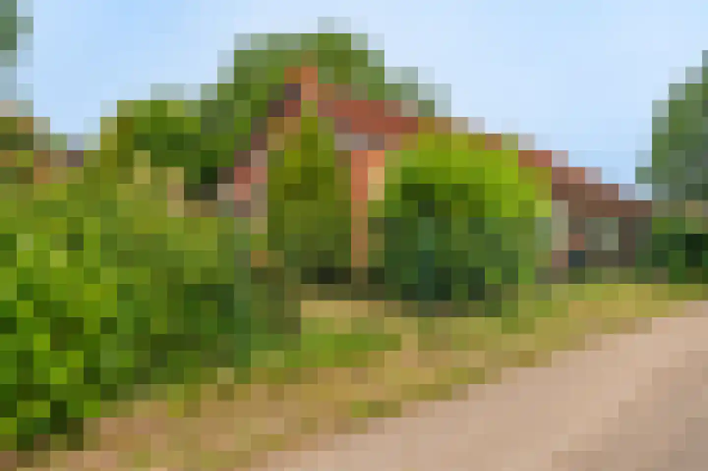 Veelerweg 26 Vlagtwedde thumbnail 23