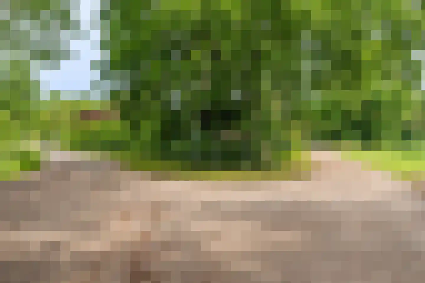 Veelerweg 26 Vlagtwedde thumbnail 25