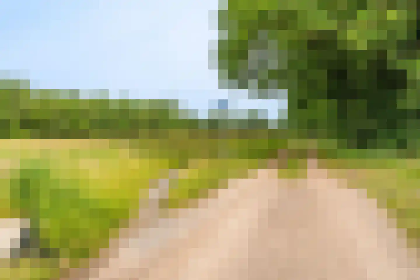 Veelerweg 26 Vlagtwedde thumbnail 26