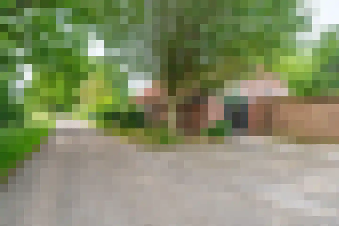 Veelerweg 26 Vlagtwedde thumbnail 27
