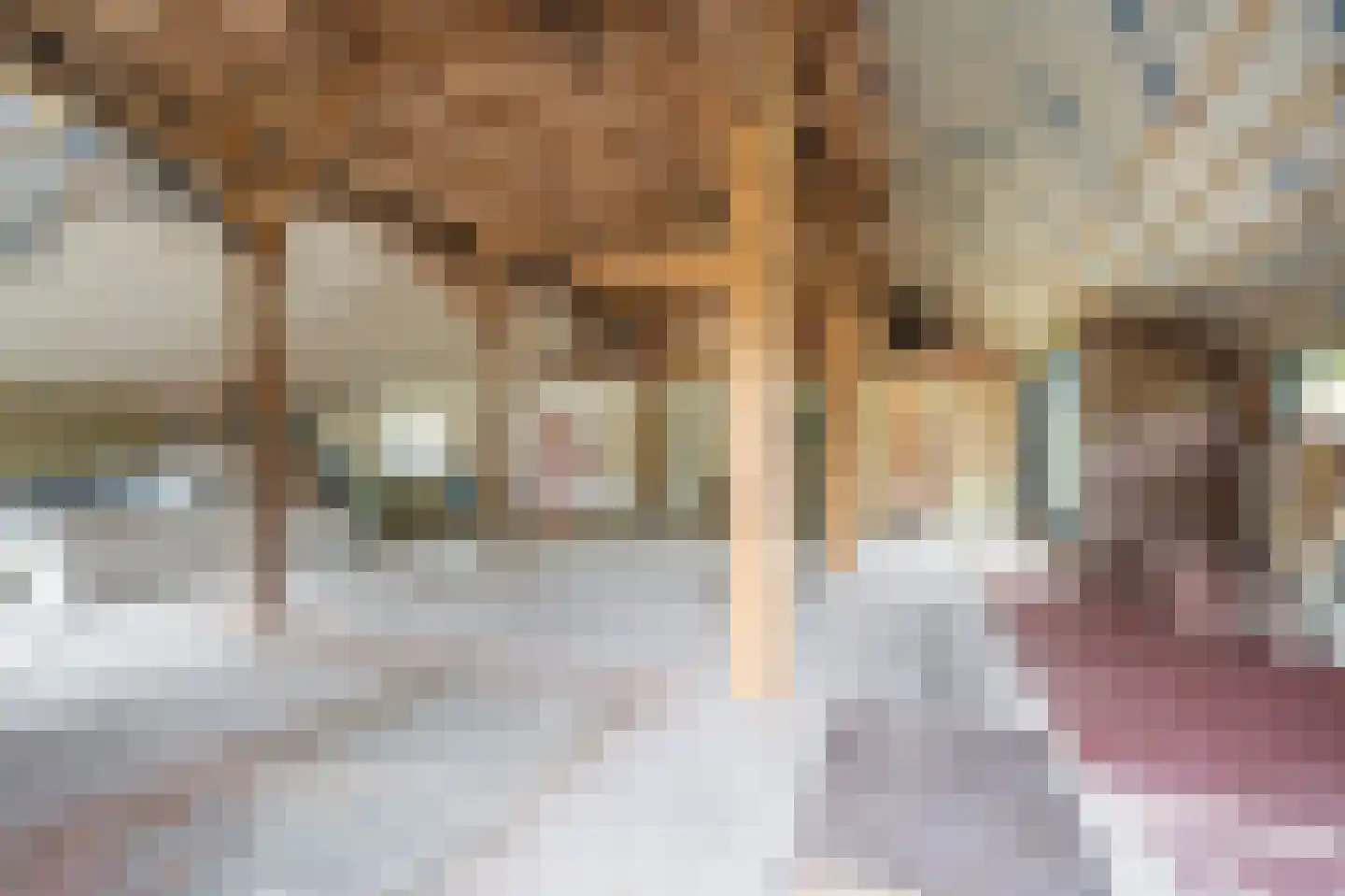 Veelerweg 26 Vlagtwedde thumbnail 31