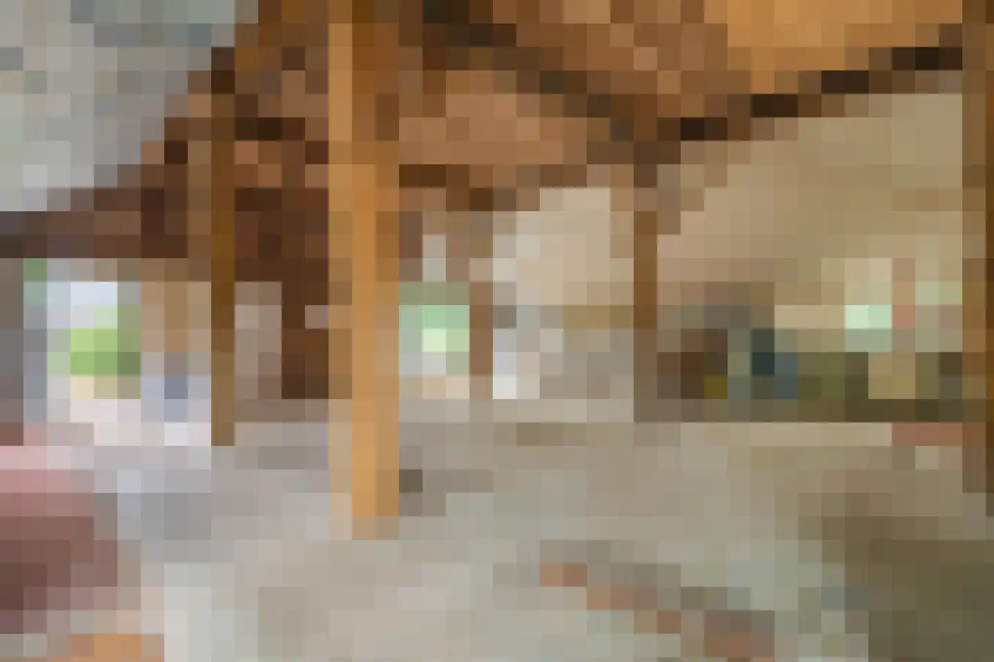 Veelerweg 26 Vlagtwedde thumbnail 32