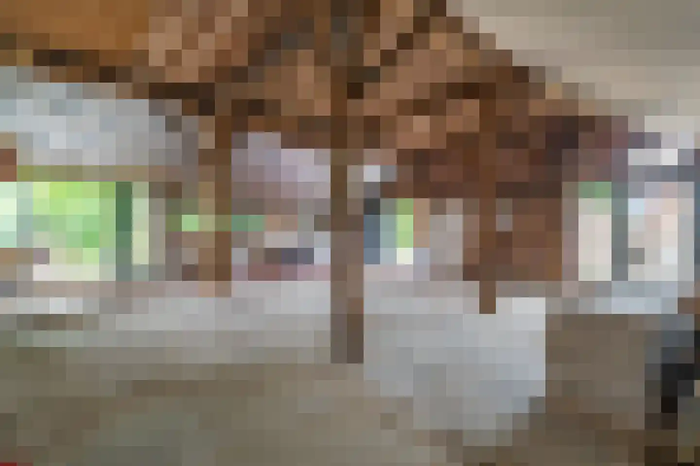 Veelerweg 26 Vlagtwedde thumbnail 33