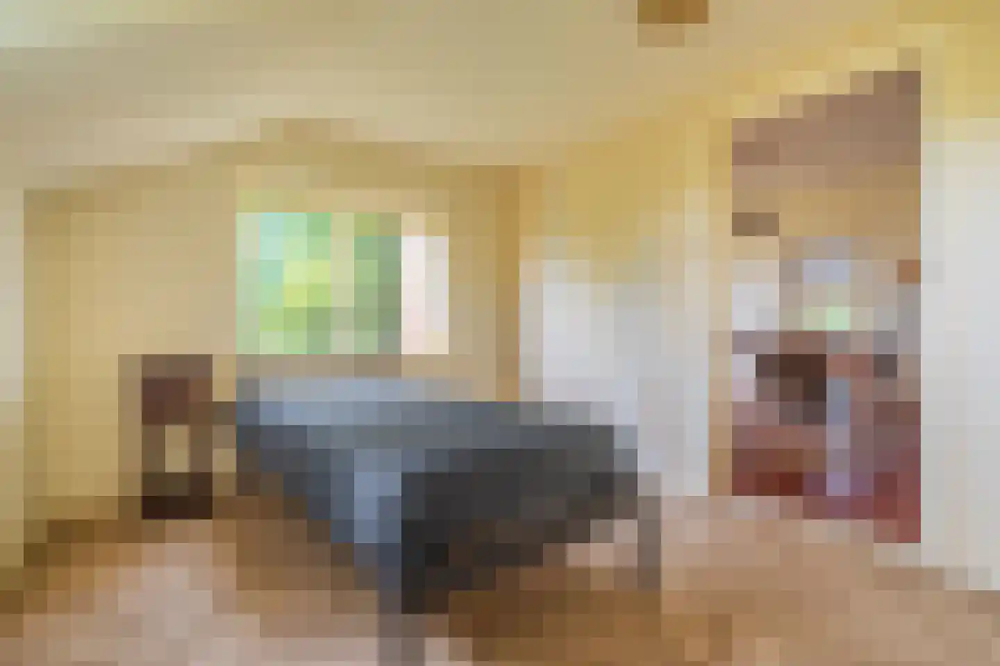 Veelerweg 26 Vlagtwedde thumbnail 39