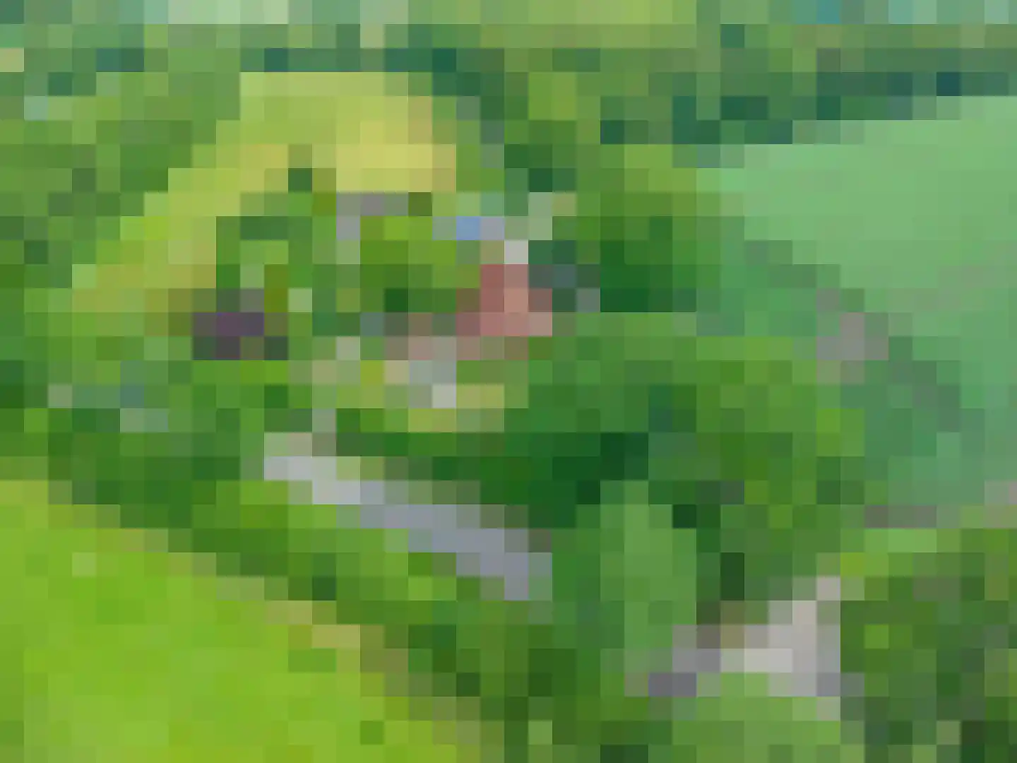 Veelerweg 26 Vlagtwedde thumbnail 4
