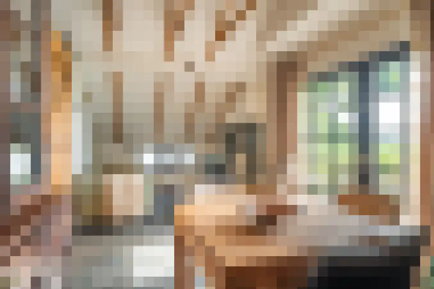 Veelerweg 26 Vlagtwedde thumbnail 42