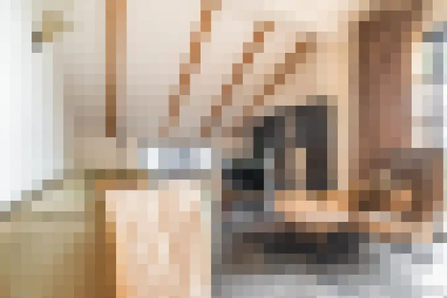 Veelerweg 26 Vlagtwedde thumbnail 43