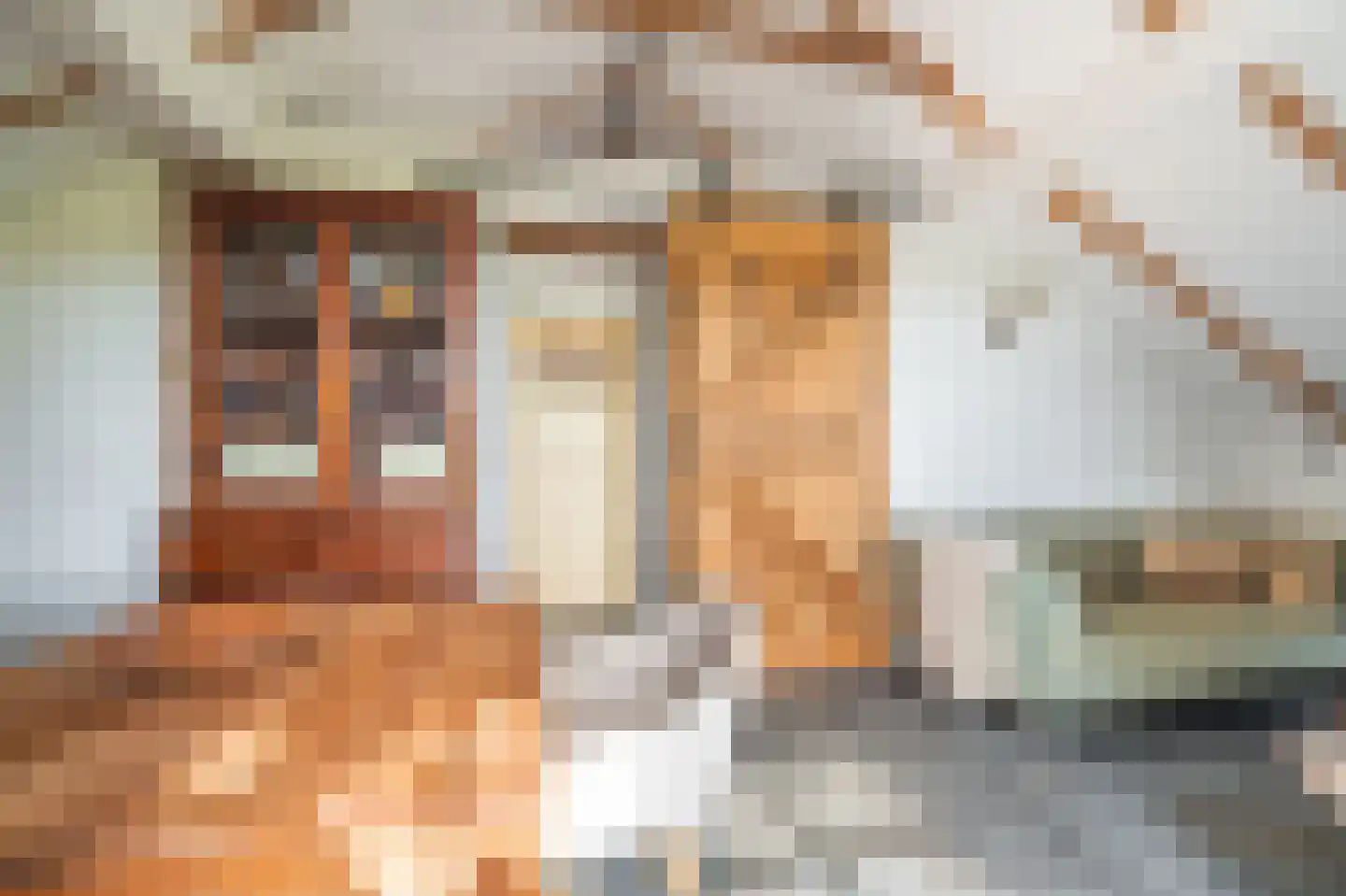 Veelerweg 26 Vlagtwedde thumbnail 46