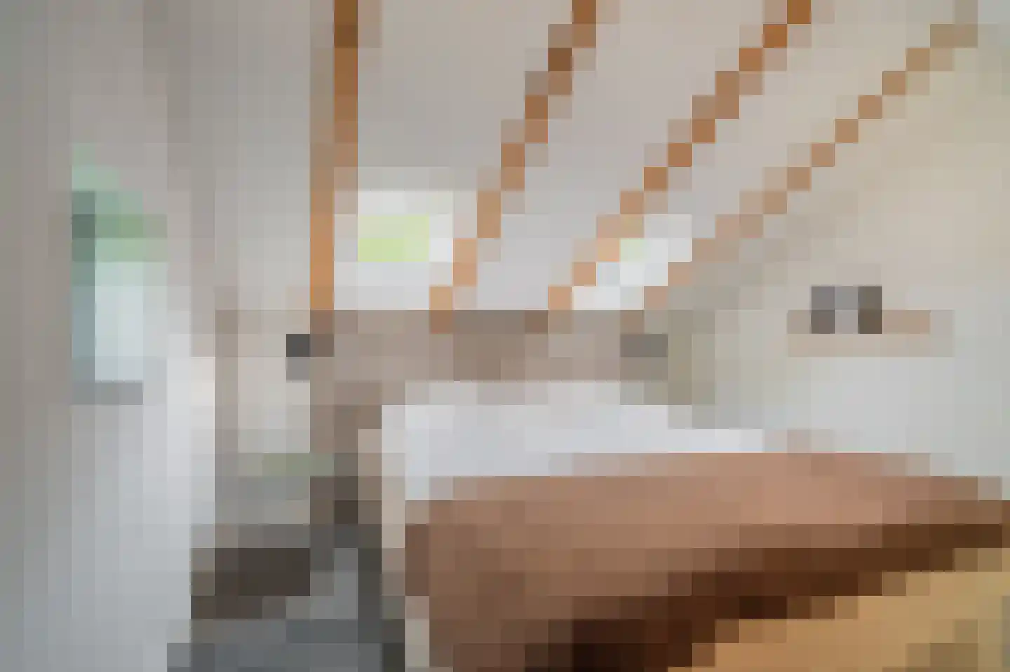 Veelerweg 26 Vlagtwedde thumbnail 49