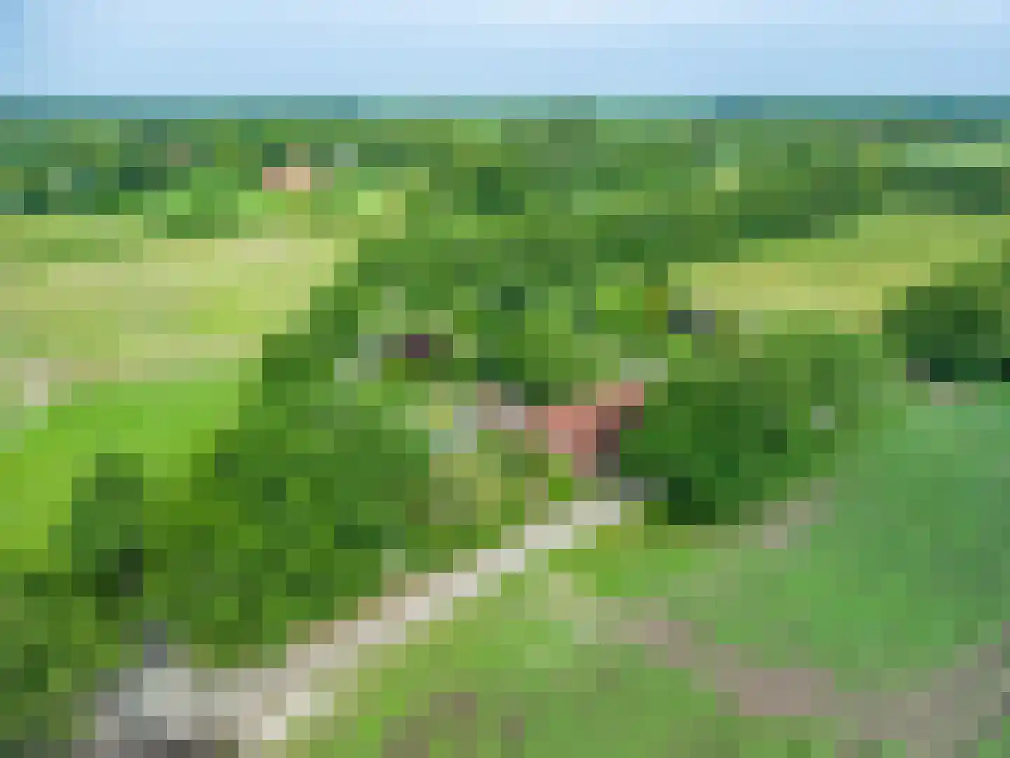 Veelerweg 26 Vlagtwedde thumbnail 5