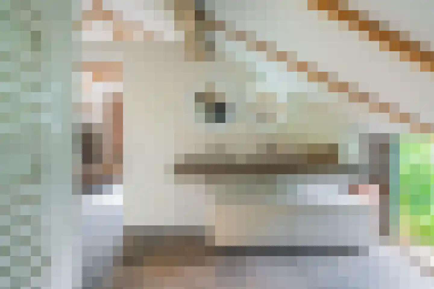 Veelerweg 26 Vlagtwedde thumbnail 50
