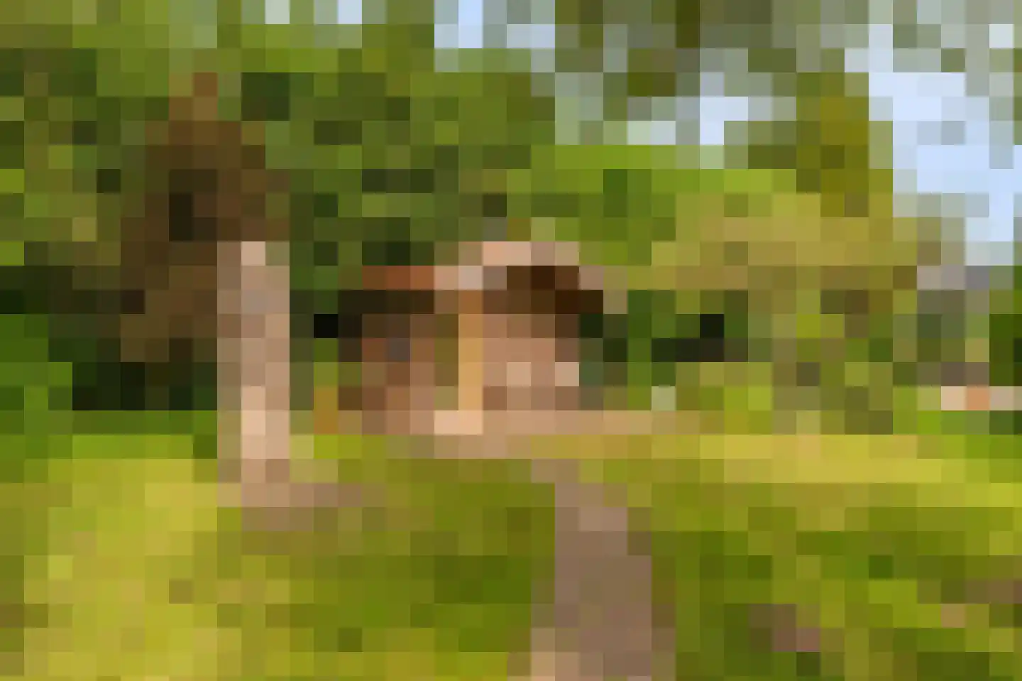 Veelerweg 26 Vlagtwedde thumbnail 53