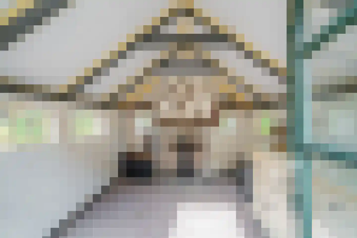 Veelerweg 26 Vlagtwedde thumbnail 55