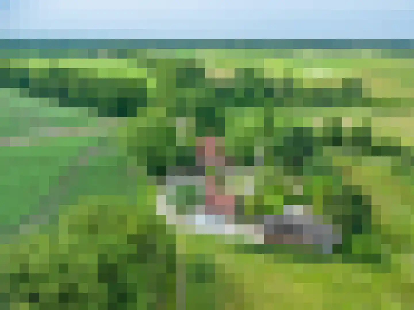 Veelerweg 26 Vlagtwedde thumbnail 6