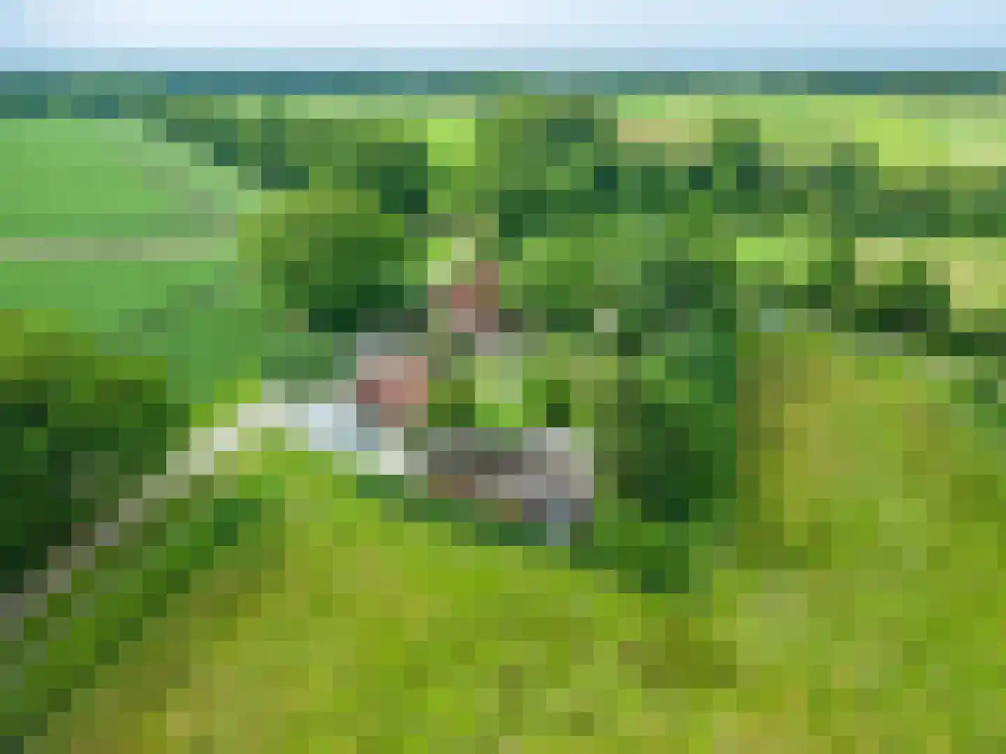 Veelerweg 26 Vlagtwedde thumbnail 7