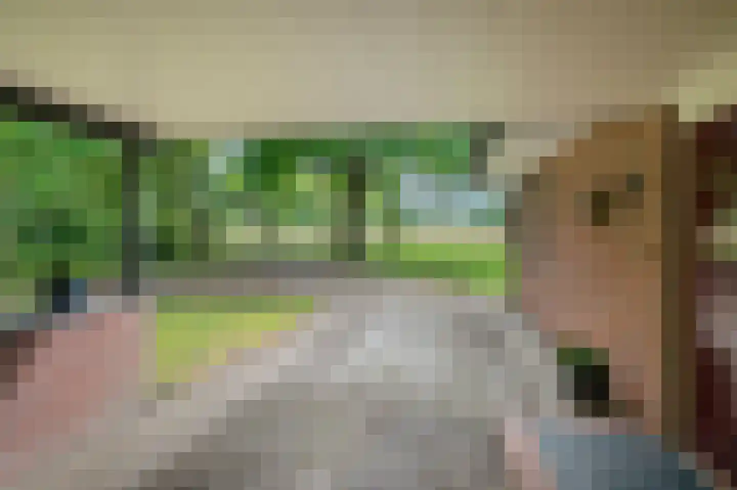 Veelerweg 6 Vlagtwedde thumbnail 11