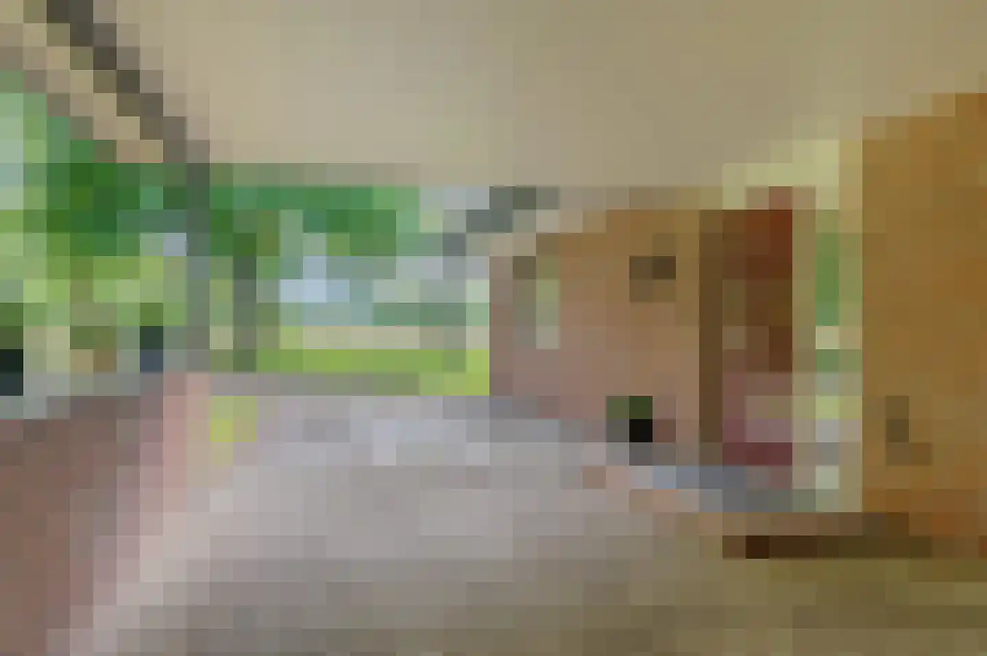Veelerweg 6 Vlagtwedde thumbnail 12