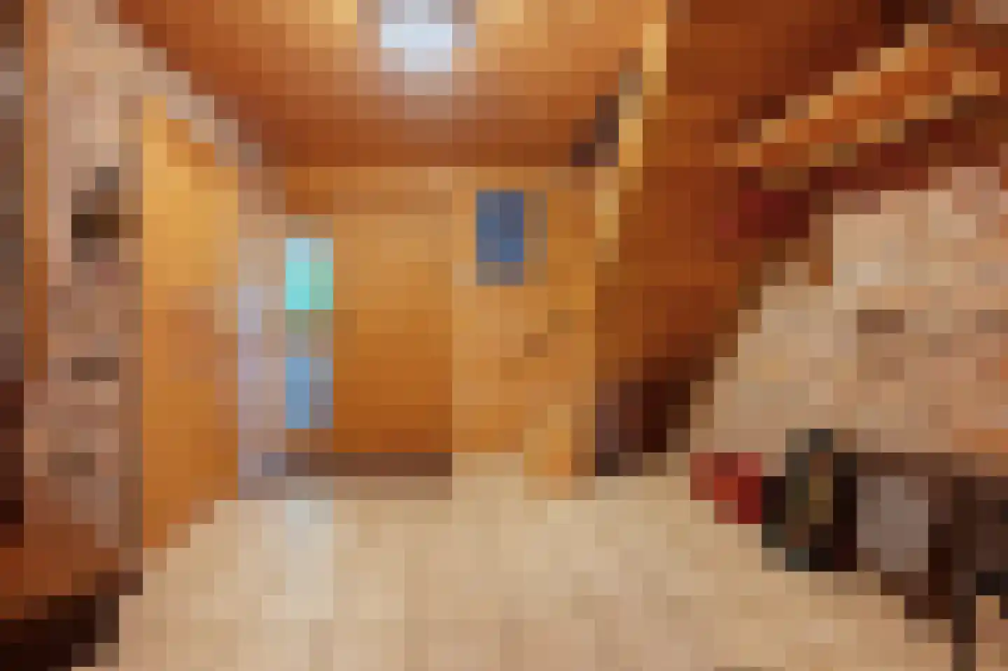 Veelerweg 6 Vlagtwedde thumbnail 13