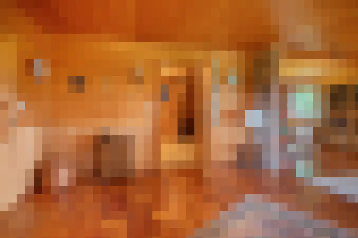 Veelerweg 6 Vlagtwedde thumbnail 16