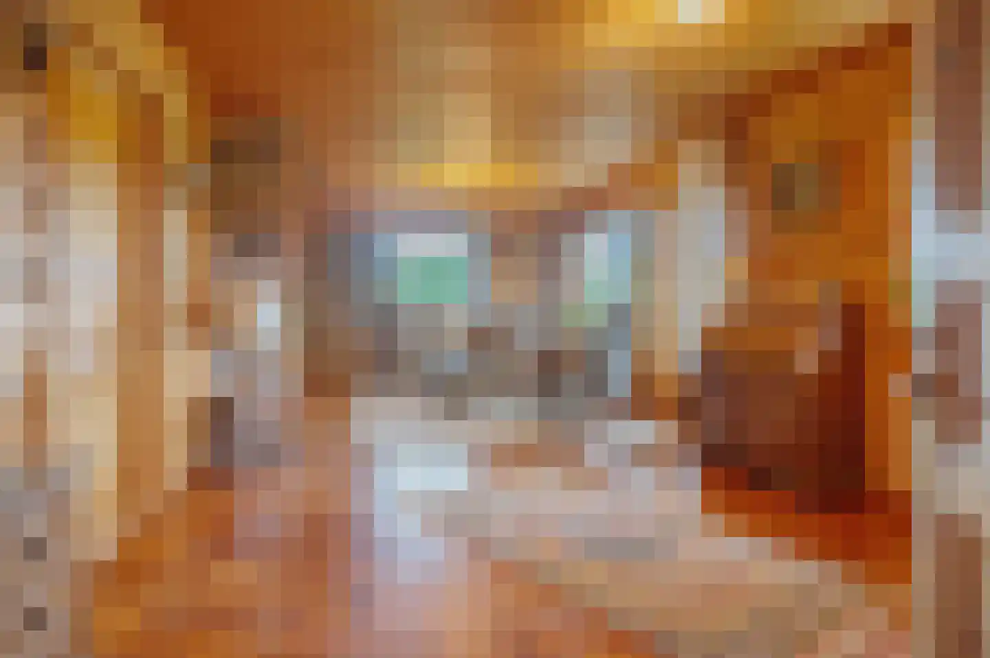Veelerweg 6 Vlagtwedde thumbnail 17