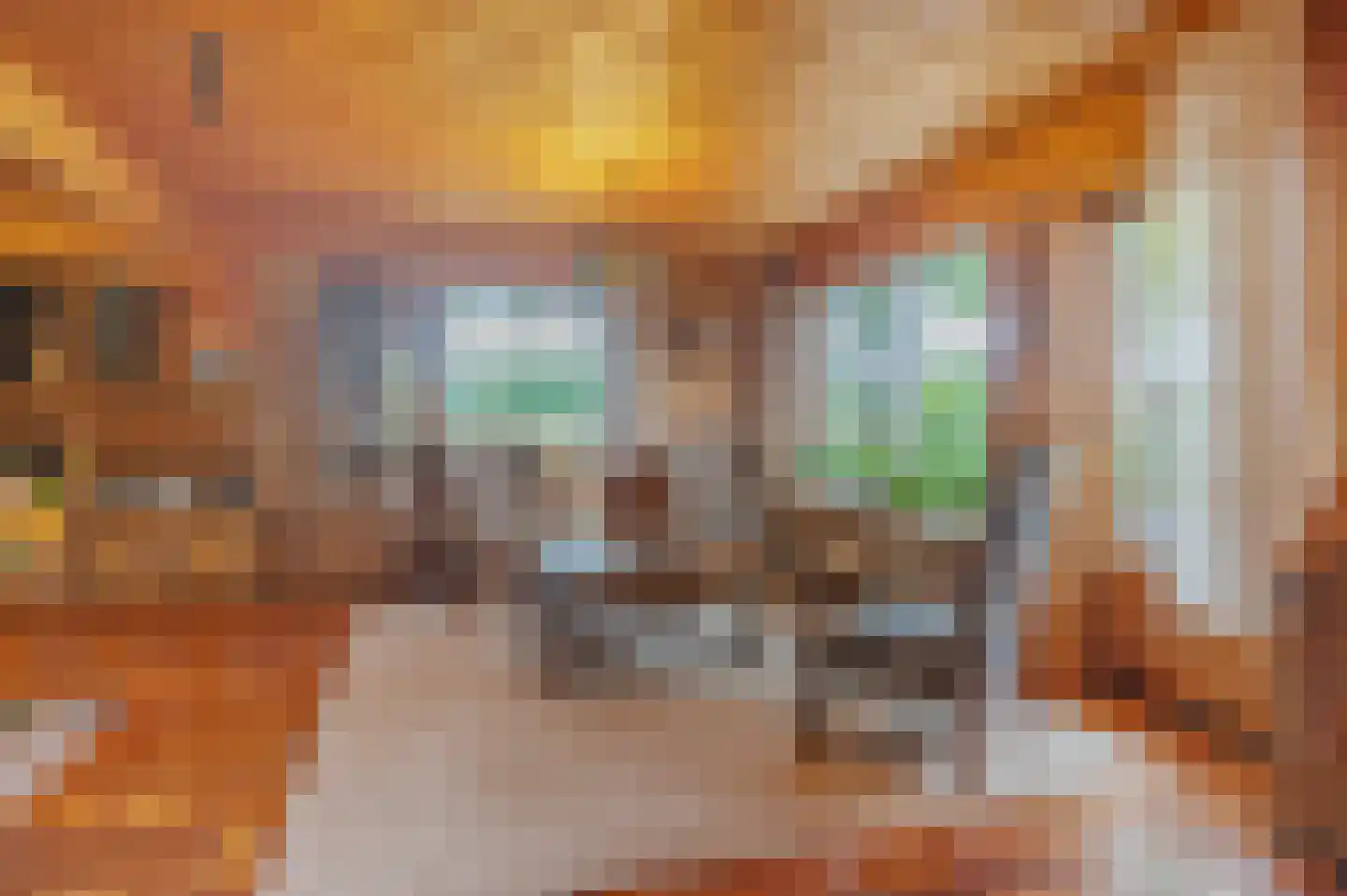 Veelerweg 6 Vlagtwedde thumbnail 19