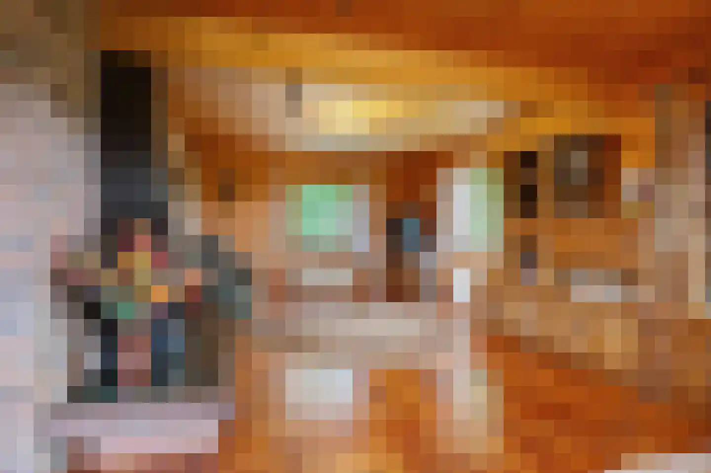 Veelerweg 6 Vlagtwedde thumbnail 21