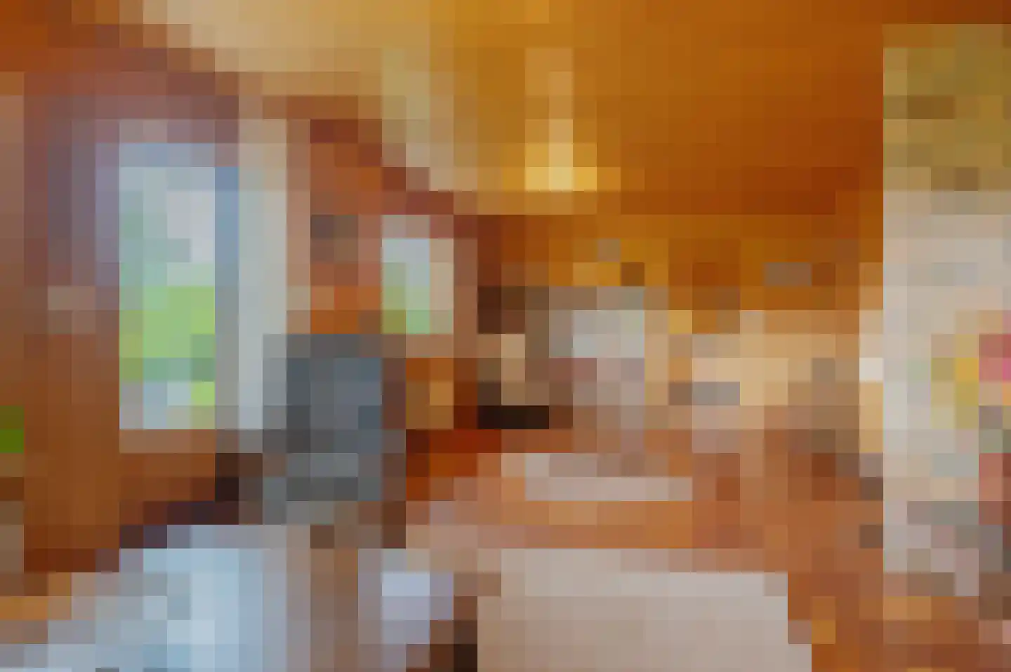 Veelerweg 6 Vlagtwedde thumbnail 24