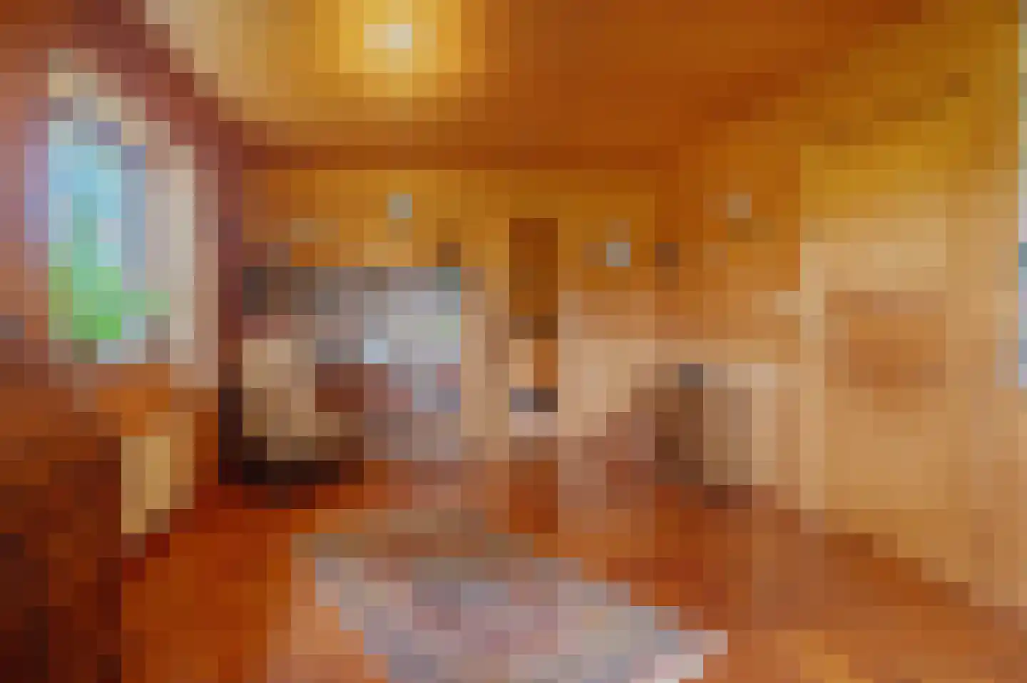 Veelerweg 6 Vlagtwedde thumbnail 25