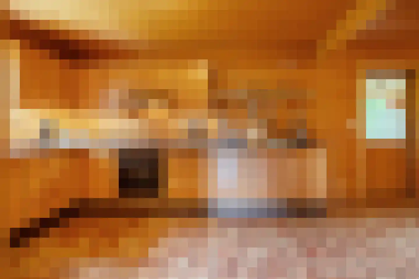 Veelerweg 6 Vlagtwedde thumbnail 26