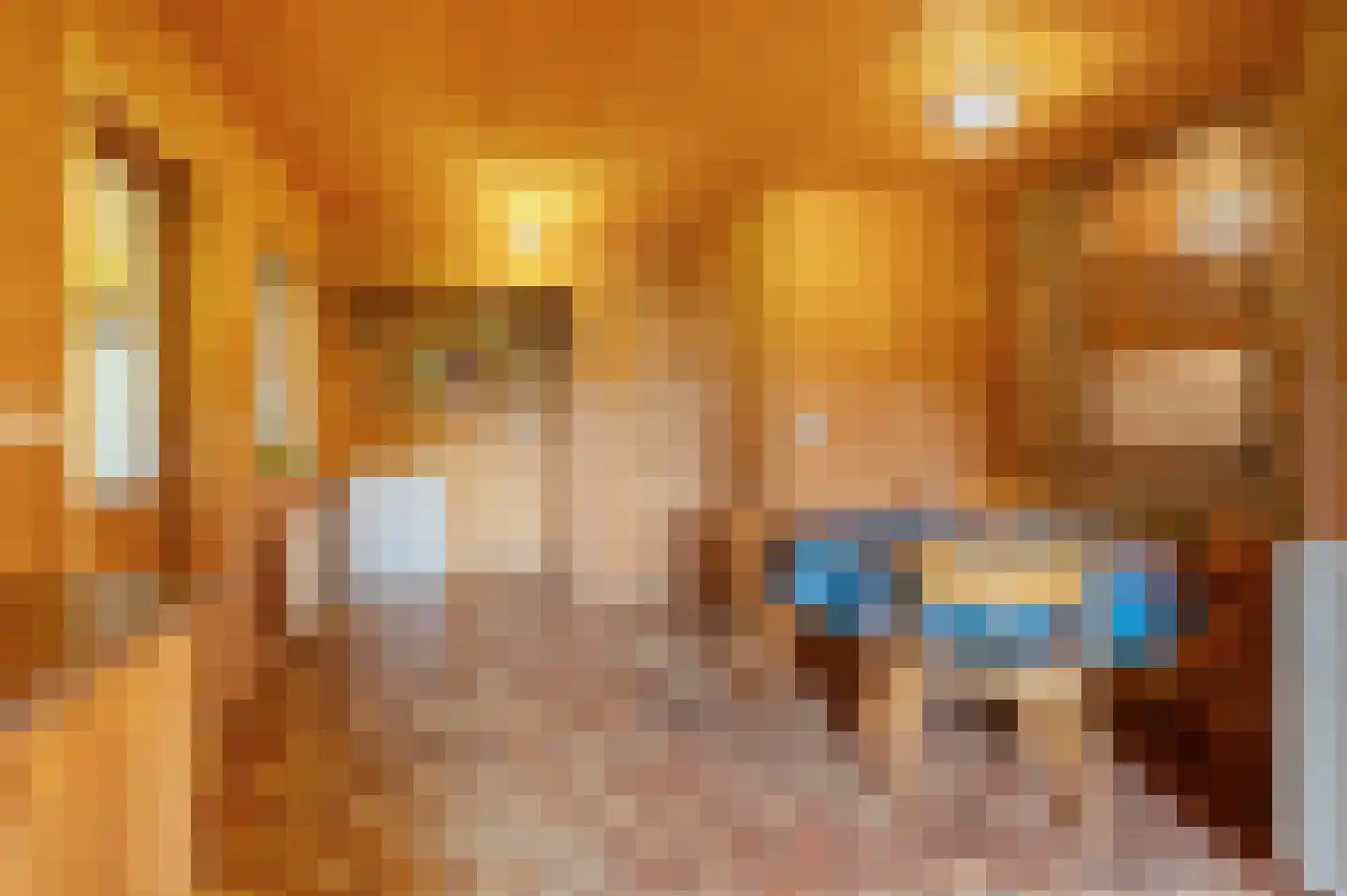 Veelerweg 6 Vlagtwedde thumbnail 29
