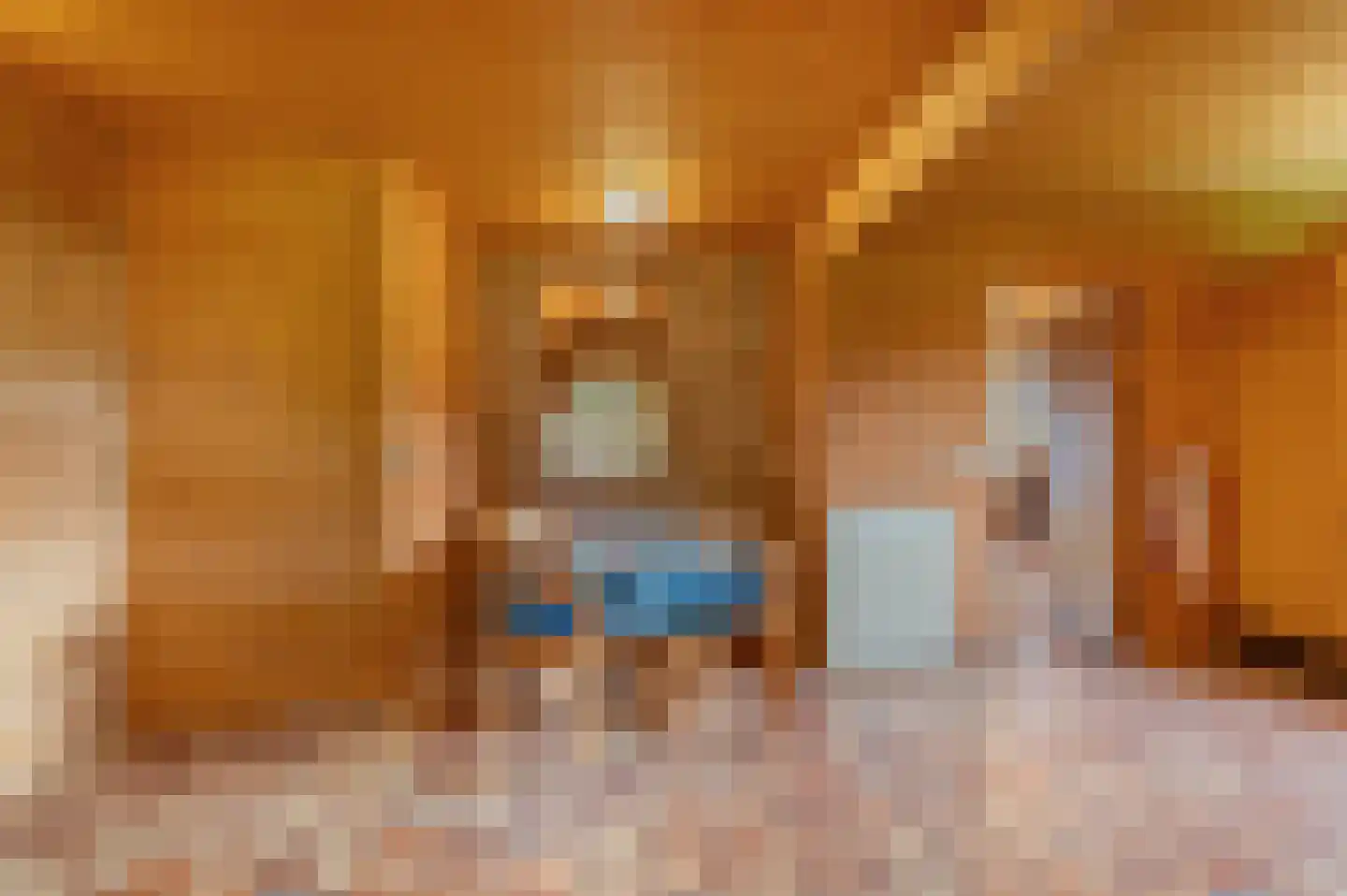 Veelerweg 6 Vlagtwedde thumbnail 30