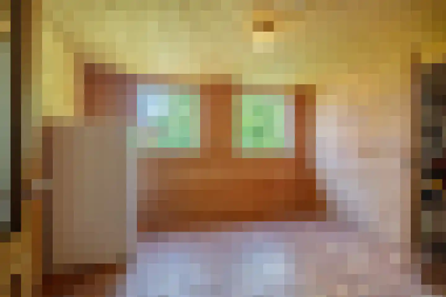 Veelerweg 6 Vlagtwedde thumbnail 32