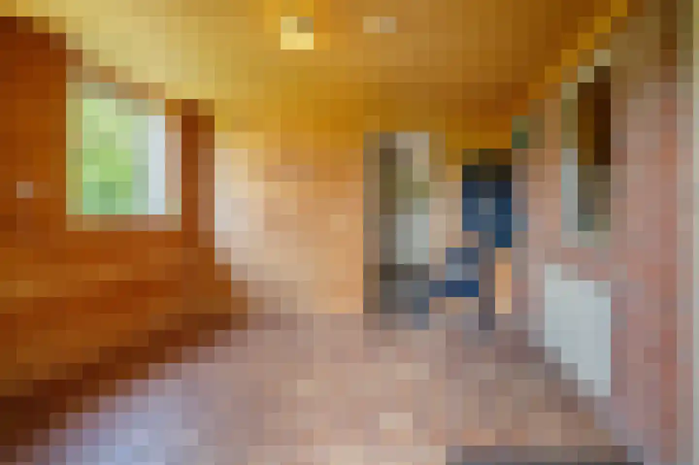 Veelerweg 6 Vlagtwedde thumbnail 33