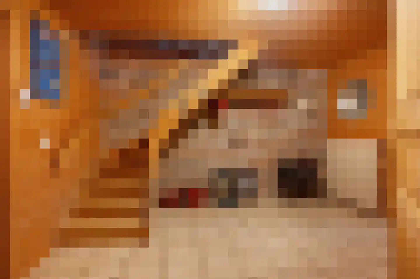 Veelerweg 6 Vlagtwedde thumbnail 38