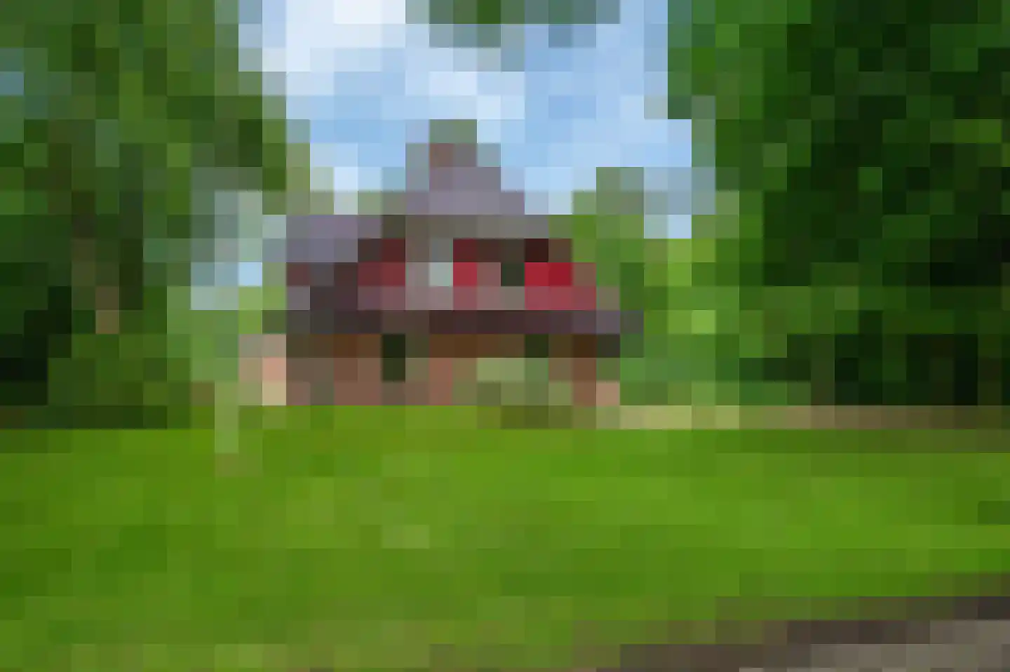 Veelerweg 6 Vlagtwedde thumbnail 4