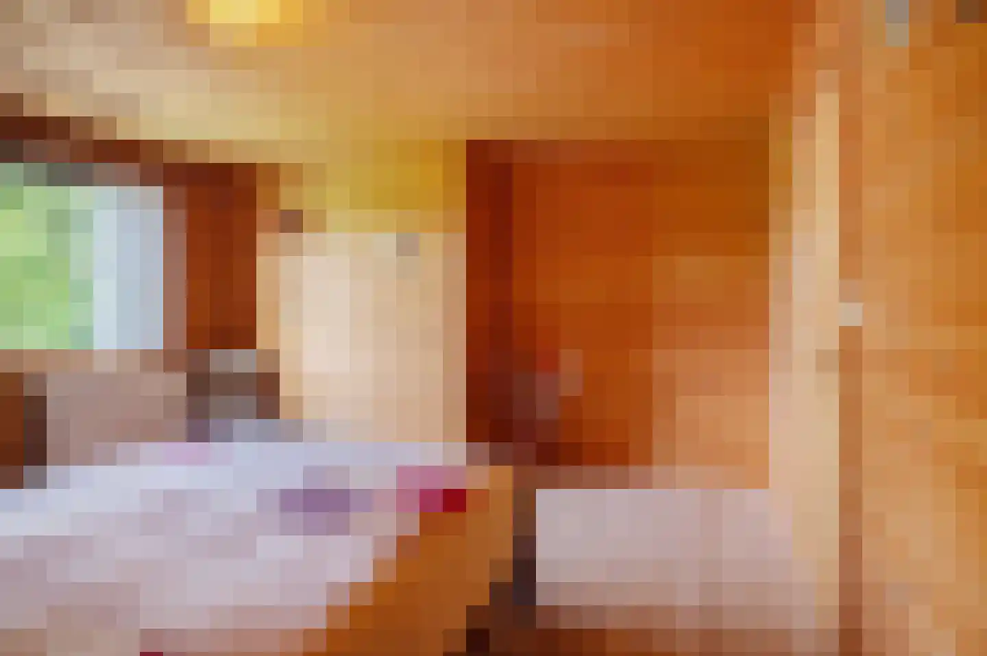 Veelerweg 6 Vlagtwedde thumbnail 42