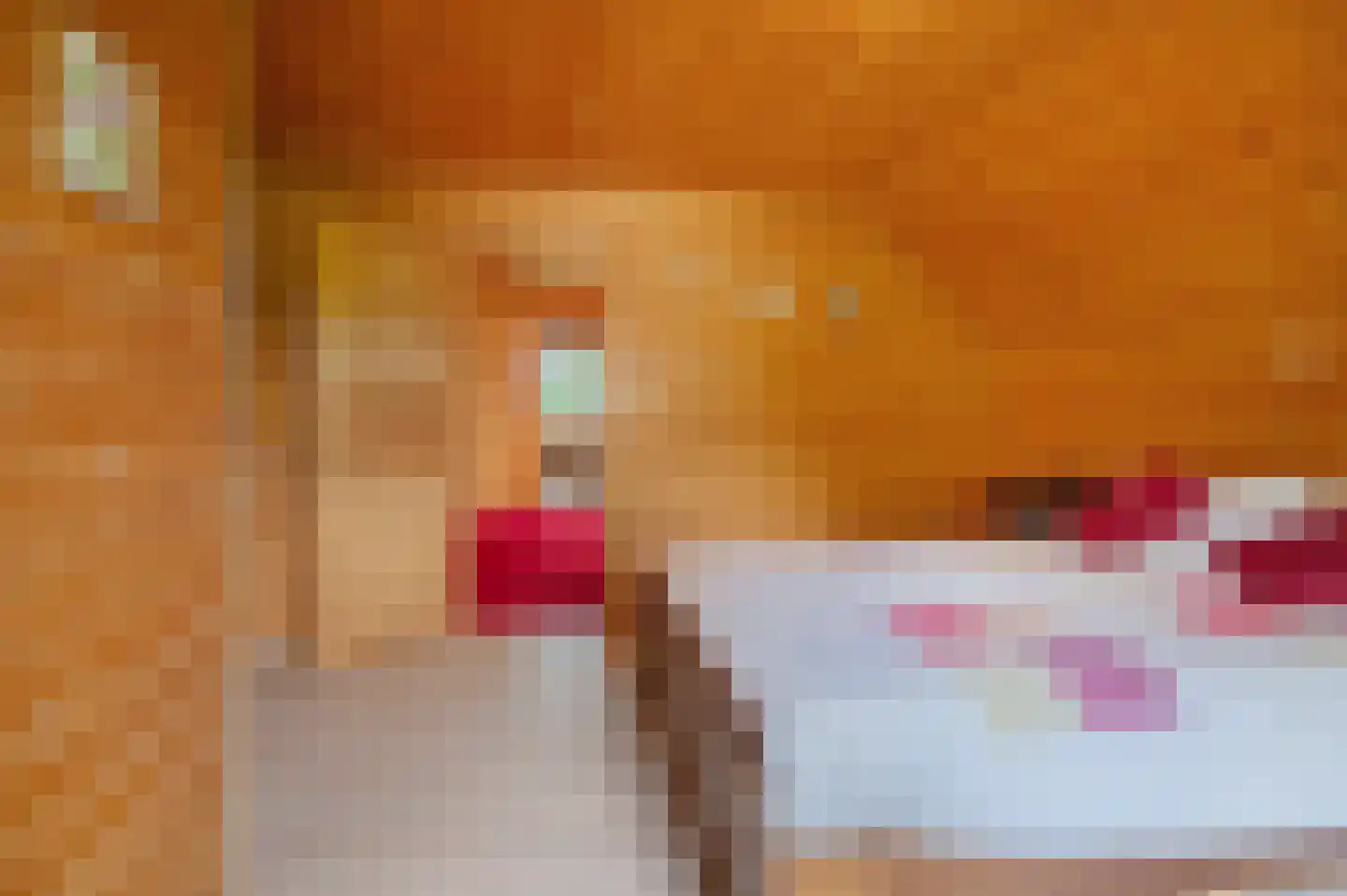 Veelerweg 6 Vlagtwedde thumbnail 43