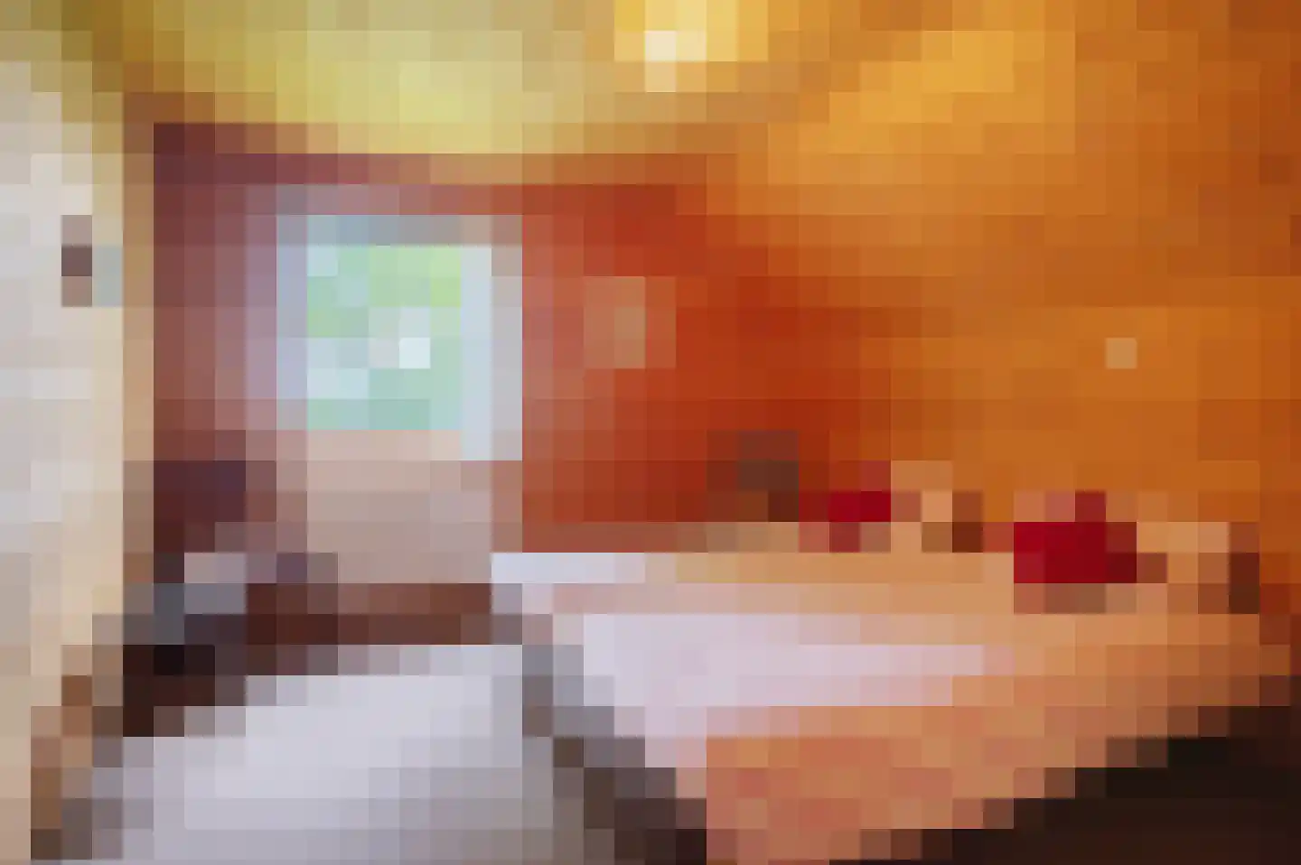 Veelerweg 6 Vlagtwedde thumbnail 44