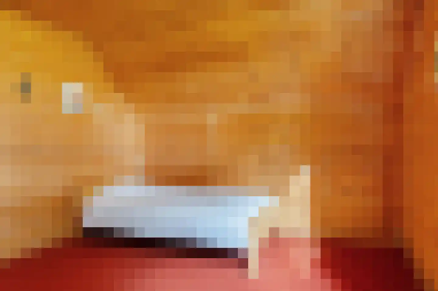 Veelerweg 6 Vlagtwedde thumbnail 47